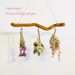 流木インテリア 無骨で古木風な天然流木のハンガーフック 流木ハンガー ハンギング ウォールデコ 北欧 N27 1枚目の画像