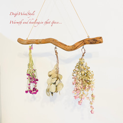 流木インテリア 無骨で古木風な天然流木のハンガーフック 流木ハンガー ハンギング ウォールデコ 北欧 N27 3枚目の画像