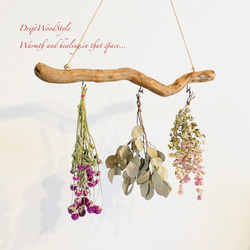 流木インテリア 無骨で古木風な天然流木のハンガーフック 流木ハンガー ハンギング ウォールデコ 北欧 N27 2枚目の画像