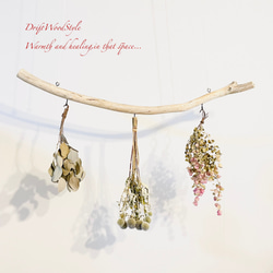 流木インテリア 無骨で古木風な天然流木のハンガーフック 流木ハンガー ハンギング ウォールデコ 北欧 N28 1枚目の画像