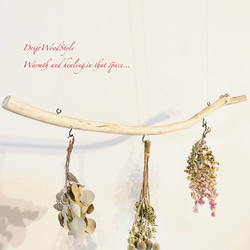 流木インテリア 無骨で古木風な天然流木のハンガーフック 流木ハンガー ハンギング ウォールデコ 北欧 N28 4枚目の画像