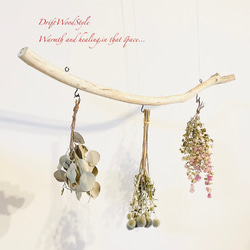 流木インテリア 無骨で古木風な天然流木のハンガーフック 流木ハンガー ハンギング ウォールデコ 北欧 N28 2枚目の画像