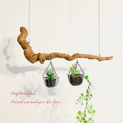 流木インテリア 木の根がうねる天然流木のハンガー フック無し 流木ハンガー ハンギング 北欧 N2 1枚目の画像