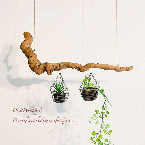 流木インテリア 木の根がうねる天然流木のハンガー フック無し 流木ハンガー ハンギング 北欧 N2 1枚目の画像