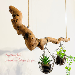 流木インテリア 木の根がうねる天然流木のハンガー フック無し 流木ハンガー ハンギング 北欧 N2 4枚目の画像