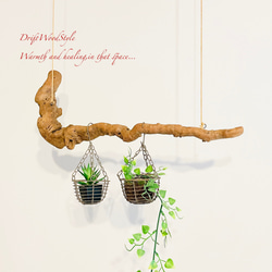 流木インテリア 木の根がうねる天然流木のハンガー フック無し 流木ハンガー ハンギング 北欧 N2 3枚目の画像