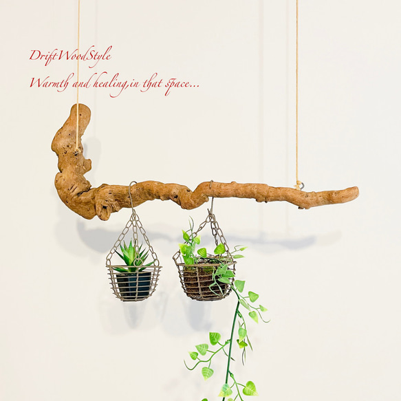 流木インテリア 木の根がうねる天然流木のハンガー フック無し 流木ハンガー ハンギング 北欧 N2 3枚目の画像