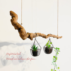 流木インテリア 木の根がうねる天然流木のハンガー フック無し 流木ハンガー ハンギング 北欧 N2 2枚目の画像