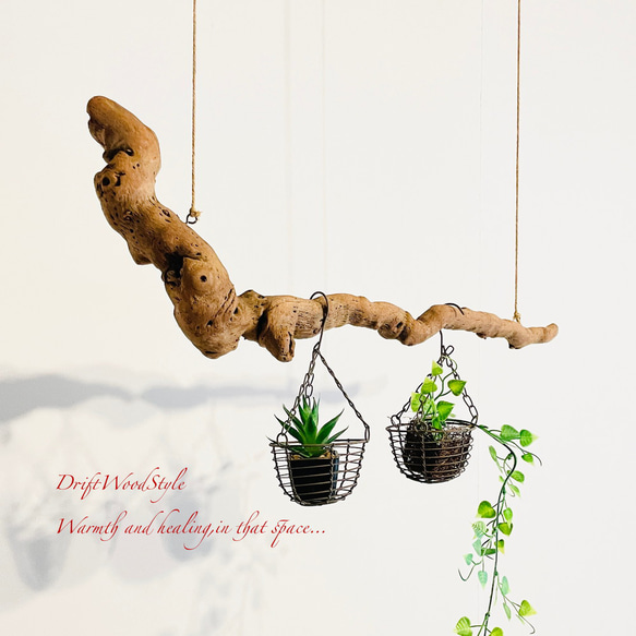 流木インテリア 木の根がうねる天然流木のハンガー フック無し 流木ハンガー ハンギング 北欧 N2 2枚目の画像