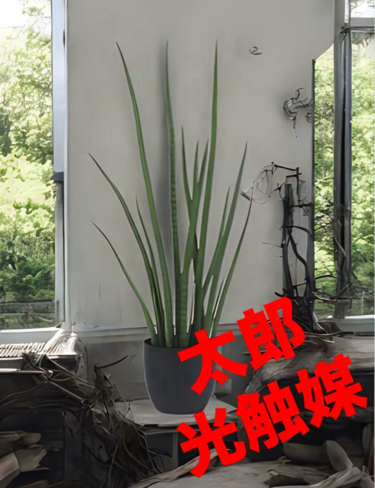 光触媒　人工観葉植物　ウォールグリーン　フェイクグリーン　サンスベリアスタッキー