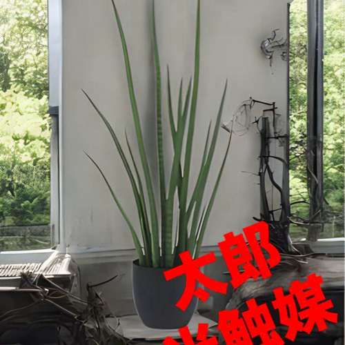 光触媒　人工観葉植物　ウォールグリーン　フェイクグリーン　サンスベリアグリーン 光触媒 人工観葉植物 ウォールグリーン フェイクグリーン