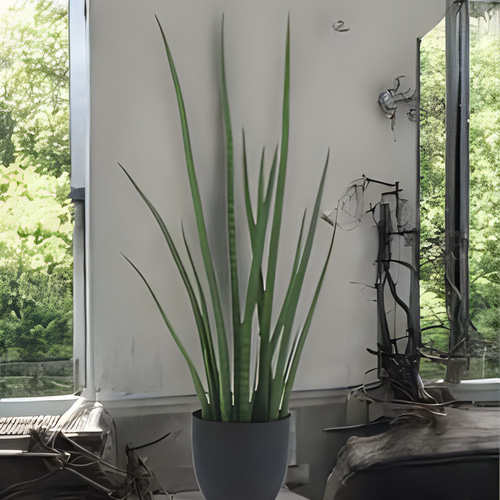 光触媒　人工観葉植物　ウォールグリーン　フェイクグリーン　サンスベリア1000 光触媒 人工観葉植物 ウォールグリーン フェイクグリーン