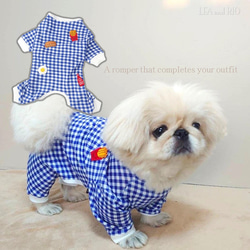 犬服 ロンパース のおすすめ人気通販 検索結果｜Creema(クリーマ