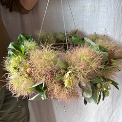 受注制作　ユーカリリース 受注制作 】ユーカリとコニファーのフレッシュリース＊* リース