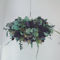 Botanical wreath 6 popolus ユーカリポポラスリース リース Creams