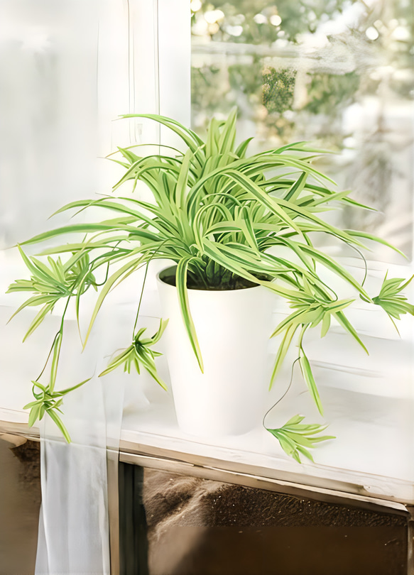 光触媒　人工観葉植物　ウォールグリーン　フェイクグリーン　オリヅルランg/y 2枚目の画像