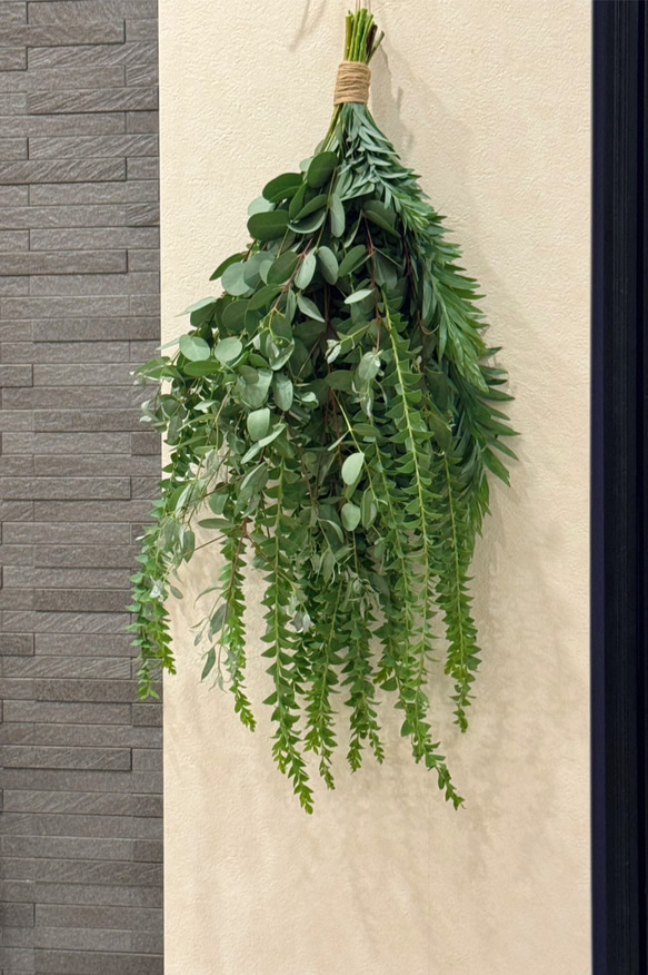 3.ユーカリスワッグ ドライグリーンスワッグ【ユーカリ・ブルーブッシュ・サンカクバ