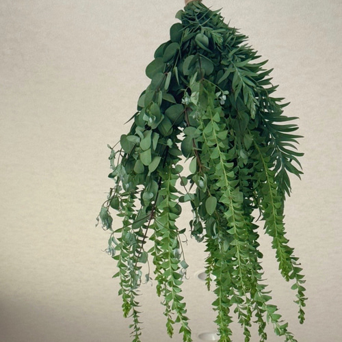 3.ユーカリスワッグ 3.ユーカリスワッグ 3タイプから選べる fd ユーカリのナチュラル