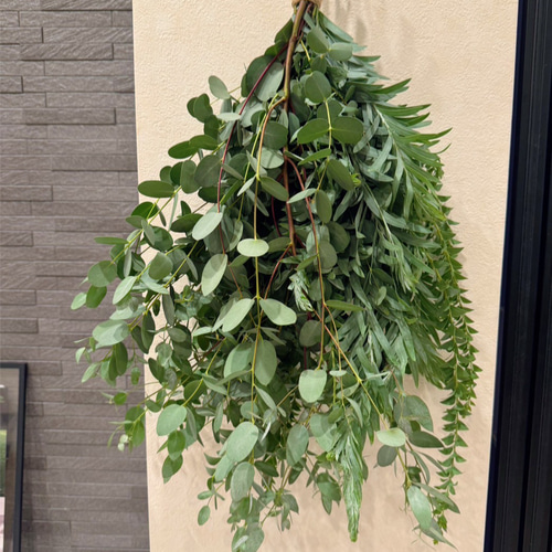 ドライグリーンスワッグ【ユーカリ・ブルーブッシュ・サンカクバ