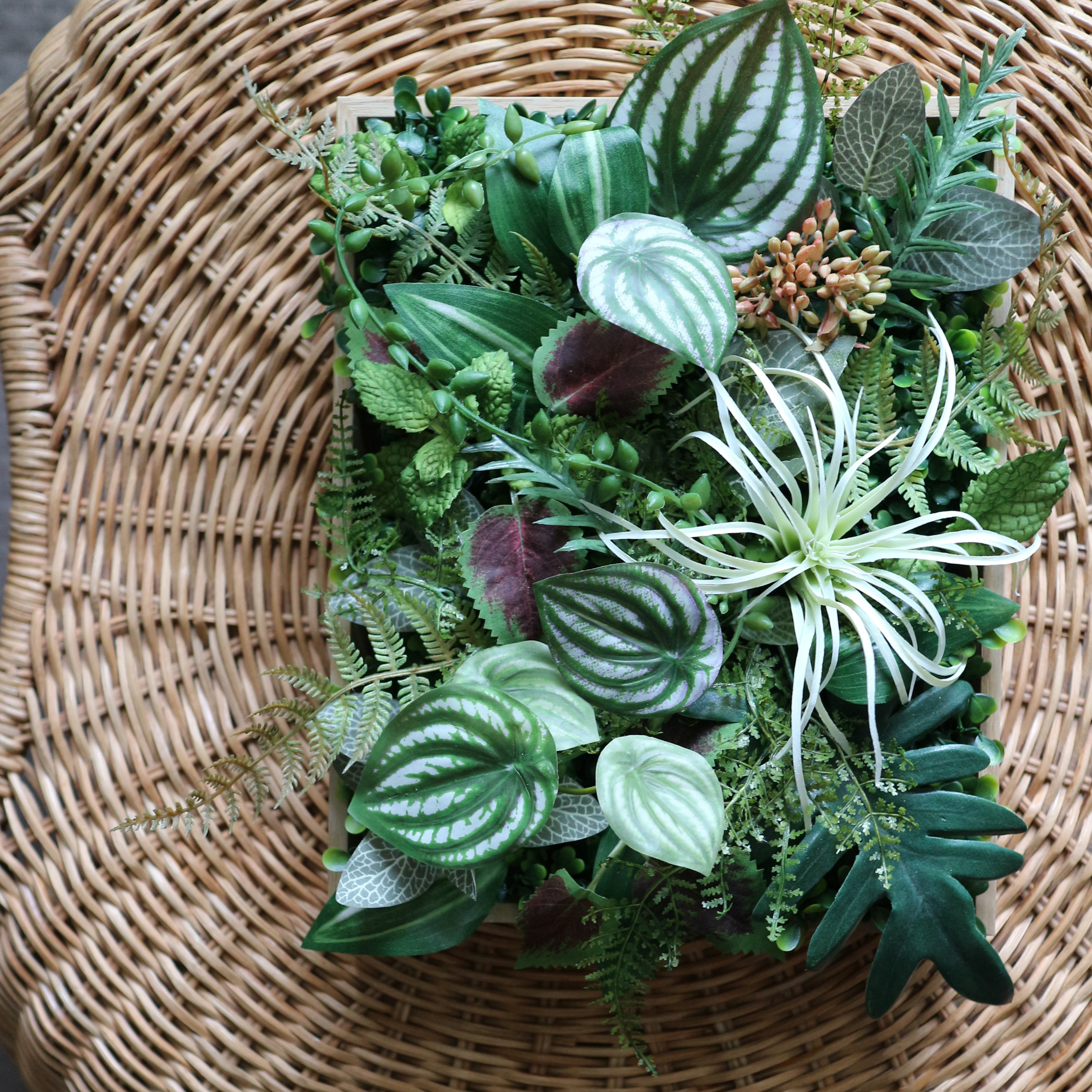 シダと観葉植物のグリーンパネル  ②