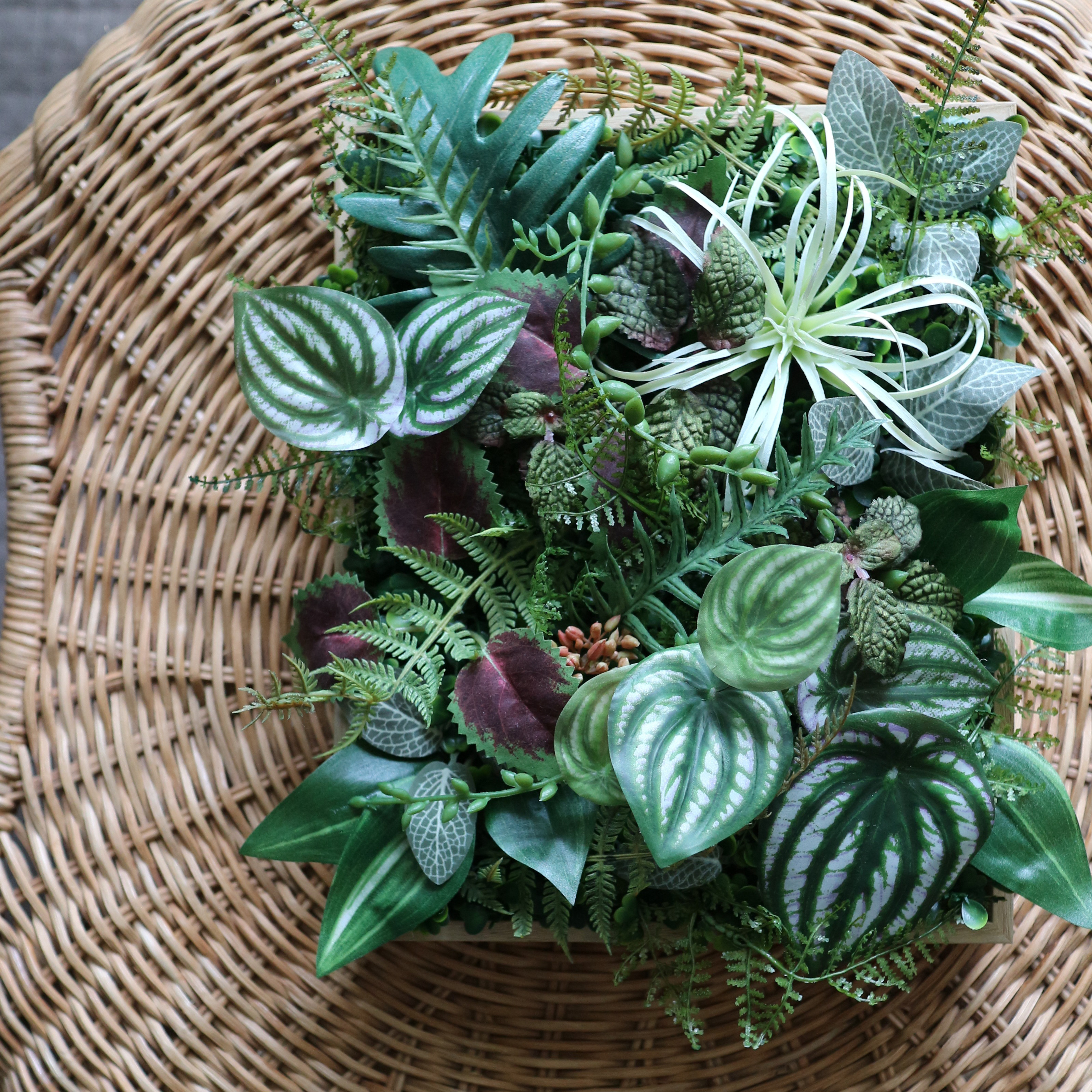 シダと観葉植物のグリーンパネル  ③
