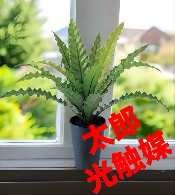 光触媒　人工観葉植物　ウォールグリーン　フェイクグリーン　アスプレニウムＬ 光触媒 人工観葉植物 ウォールグリーン フェイクグリーン アスプ