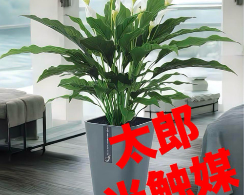 光触媒 人工観葉植物 ウォールグリーン フェイクグリーン