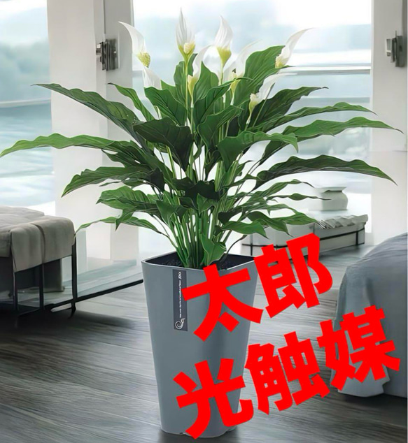 光触媒　人工観葉植物　ウォールグリーン　フェイクグリーン　スパティフィラムＰＥ 光触媒 人工観葉植物 ウォールグリーン フェイクグリーン