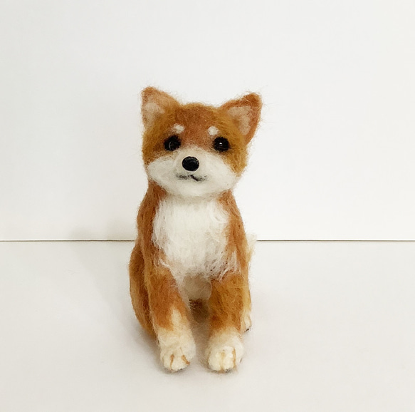 柴犬*羊毛フェルト*犬 羊毛フェルト moco3871 通販 19440408