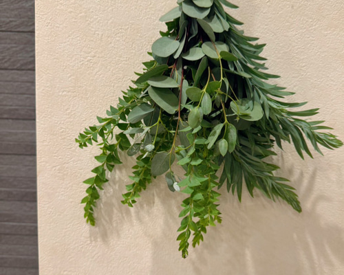 フレッシュグリーンスワッグミニ【ユーカリ・ブルーブッシュ・サンカク