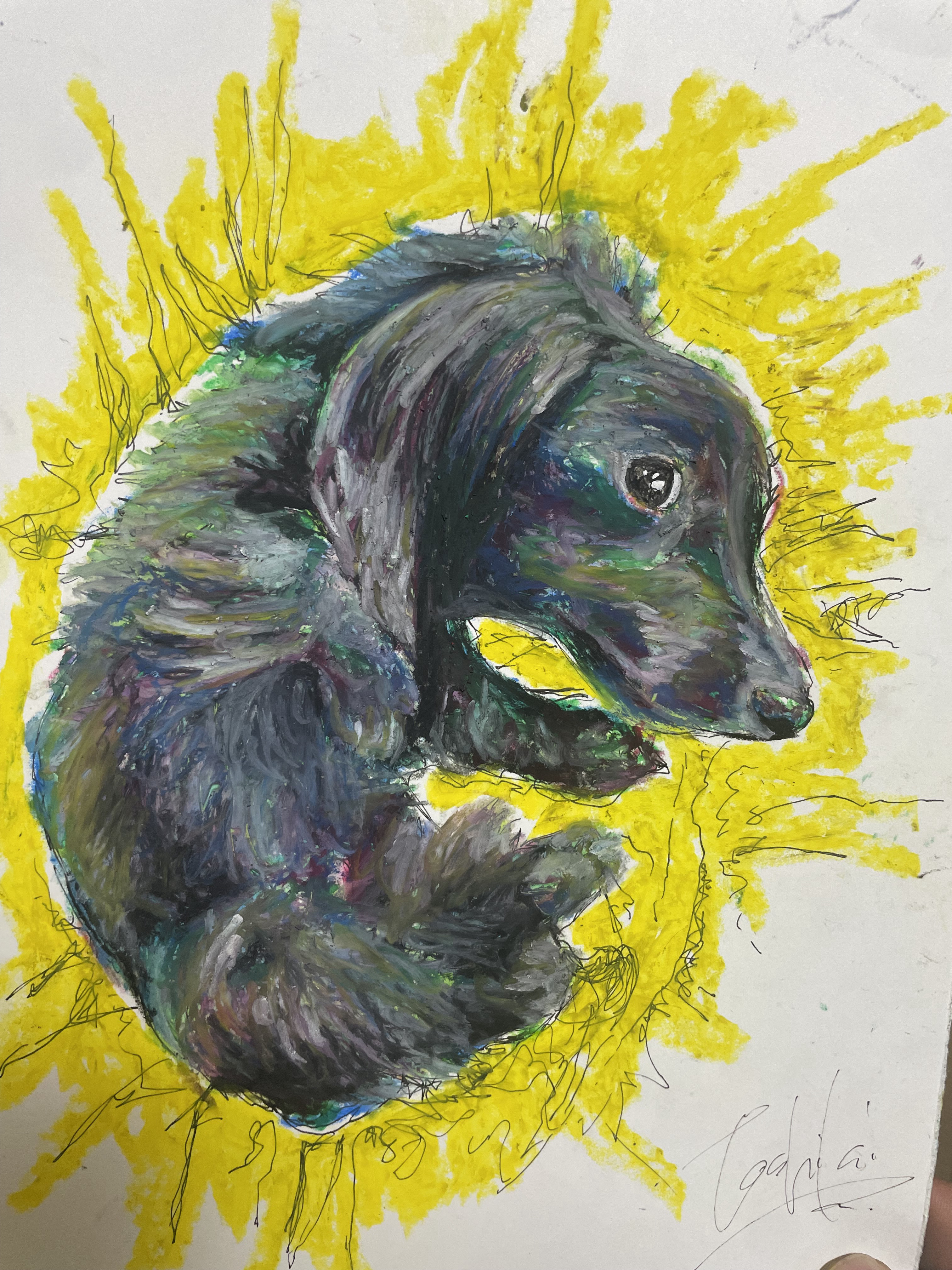 ☀︎初めの5名様限定割引有☀︎ペットお描きします^_^