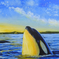 A4アートプリント「オルカが見た空」/複製画/シャチ/海/星/額なし 2枚目の画像