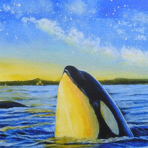 A4アートプリント「オルカが見た空」/複製画/シャチ/海/星/額なし 2枚目の画像