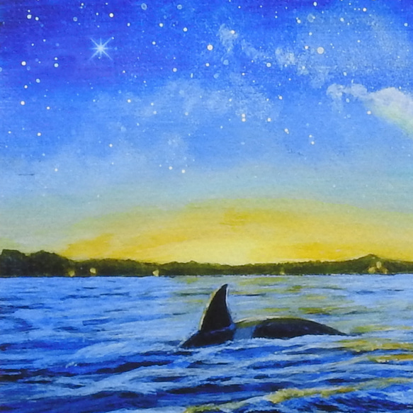 A4アートプリント「オルカが見た空」/複製画/シャチ/海/星/額なし 3枚目の画像