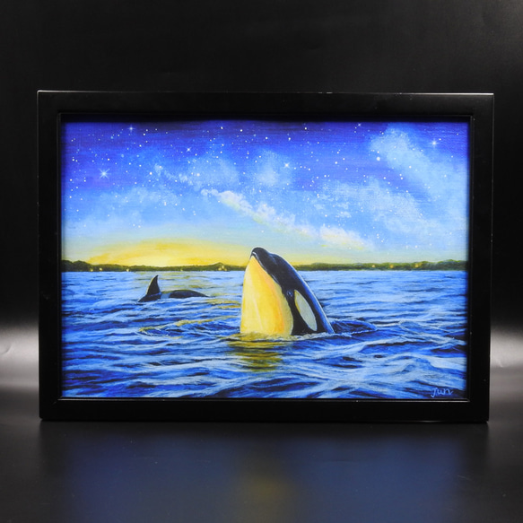 A4アートプリント「オルカが見た空」/複製画/シャチ/海/星/額なし 7枚目の画像