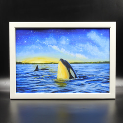 A4アートプリント「オルカが見た空」/複製画/シャチ/海/星/額なし 6枚目の画像