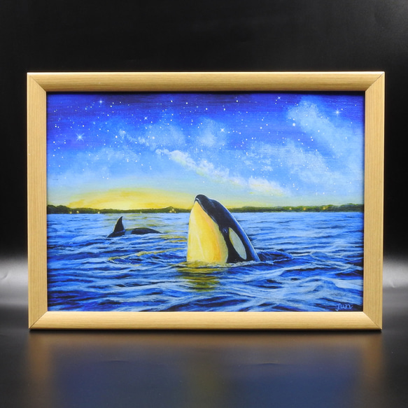 A4アートプリント「オルカが見た空」/複製画/シャチ/海/星/額なし 8枚目の画像