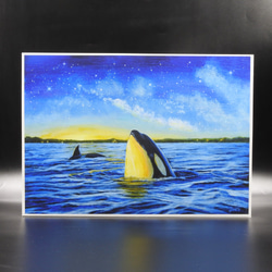 A4アートプリント「オルカが見た空」/複製画/シャチ/海/星/額なし 1枚目の画像
