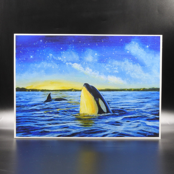 A4アートプリント「オルカが見た空」/複製画/シャチ/海/星/額なし 1枚目の画像