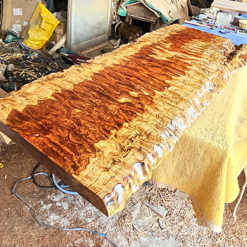 ブビンガ 最上杢 一枚板 最高級 ダイニング テーブル 玉杢 バール杢