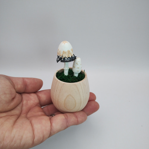 カップきのこ ササクレヒトヨタケ その他インテリア雑貨 みもみよ 通販