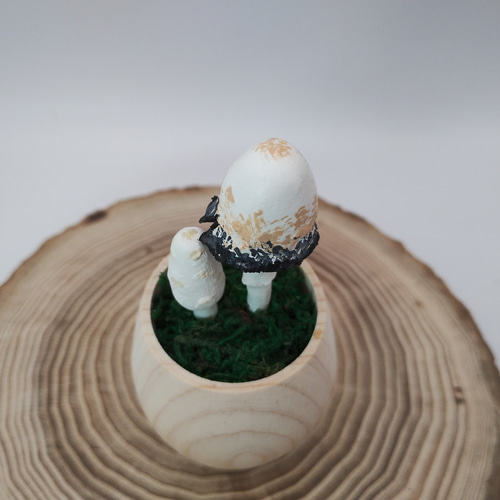 カップきのこ ササクレヒトヨタケ その他インテリア雑貨 みもみよ 通販