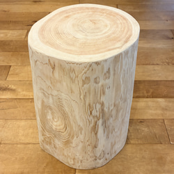 【Pet Table Hinoki】 No.1262 Pet Table Hinoki 】 No.1262 おもちゃ・ペット小物 Wood