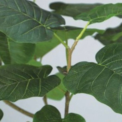 光触媒 人工観葉植物 ウォールグリーン フェイクグリーン HQ