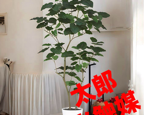 光触媒　人工観葉植物　ウォールグリーン　フェイクグリーン　ウンベラータ180 光触媒 人工観葉植物 ウォールグリーン フェイクグリーン HQ