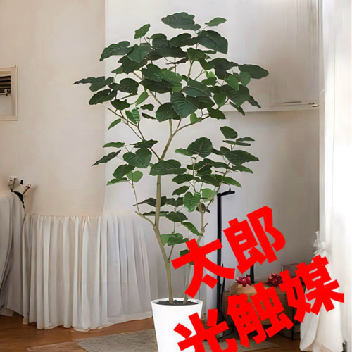 光触媒　人工観葉植物　ウォールグリーン　フェイクグリーン　HQウンベラータ180 光触媒 人工観葉植物 ウォールグリーン フェイクグリーン HQ