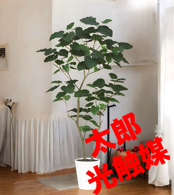 光触媒 人工観葉植物 ウォールグリーン フェイクグリーン ウンベラータ