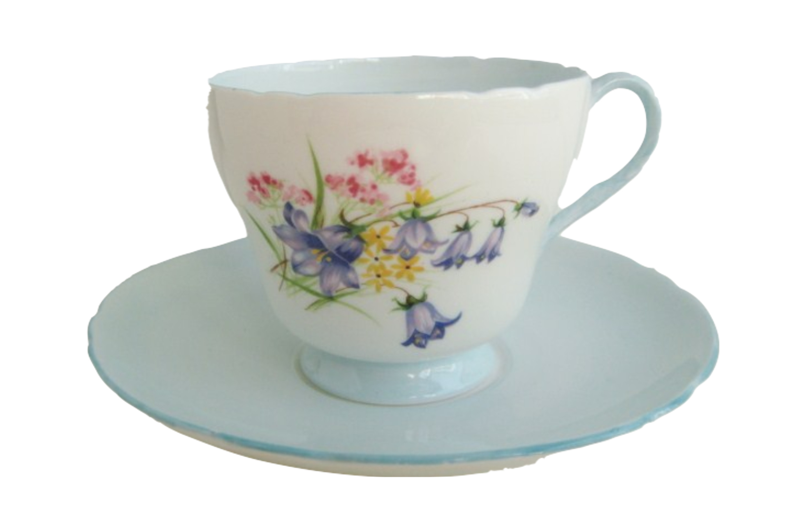 シェリー カップ＆ソーサー Wild Flowers 英国 ヴィンテージ SHELLEY 花柄 紅茶 水色 ブルーベル