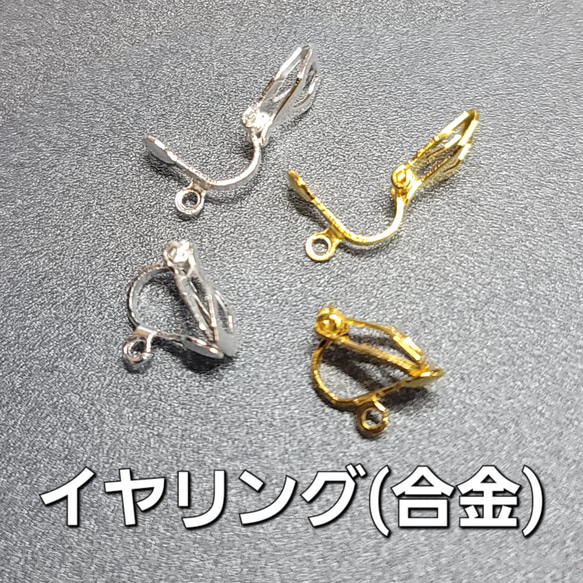  第10張的照片