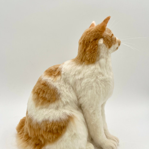 羊毛フェルトオーダー　たーさん 山田羊毛雑貨店】羊毛フェルトうちの子マスコットオーダー